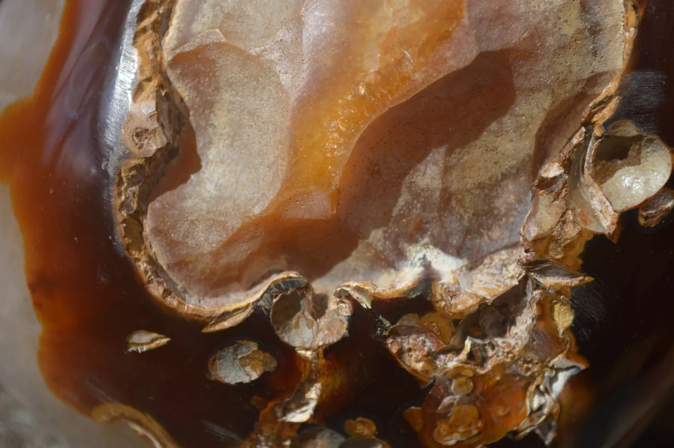 Polished Extra Large Carnelian Crystal Centred Display Piece  x 1 From Madagascar