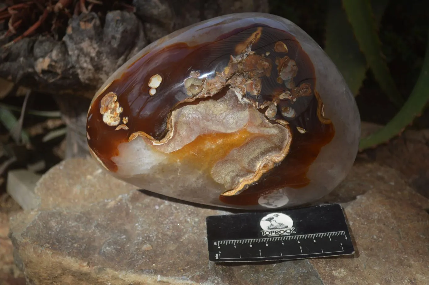 Polished Extra Large Carnelian Crystal Centred Display Piece  x 1 From Madagascar