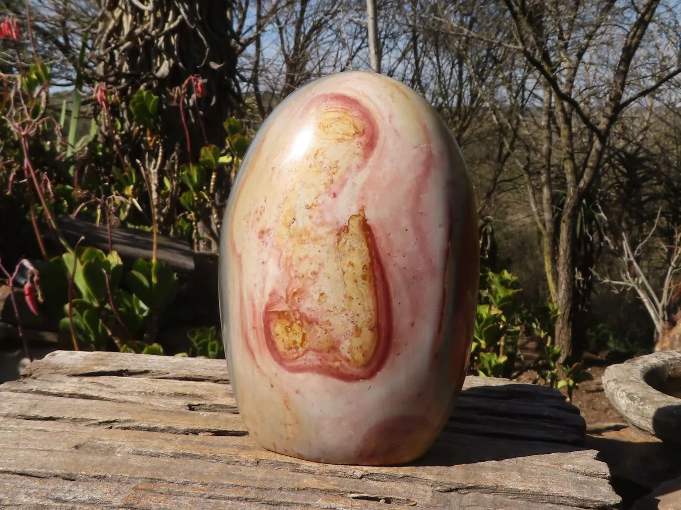 Polished Extra Large Polychrome Jasper Standing Free Form x 1 From Madagascar