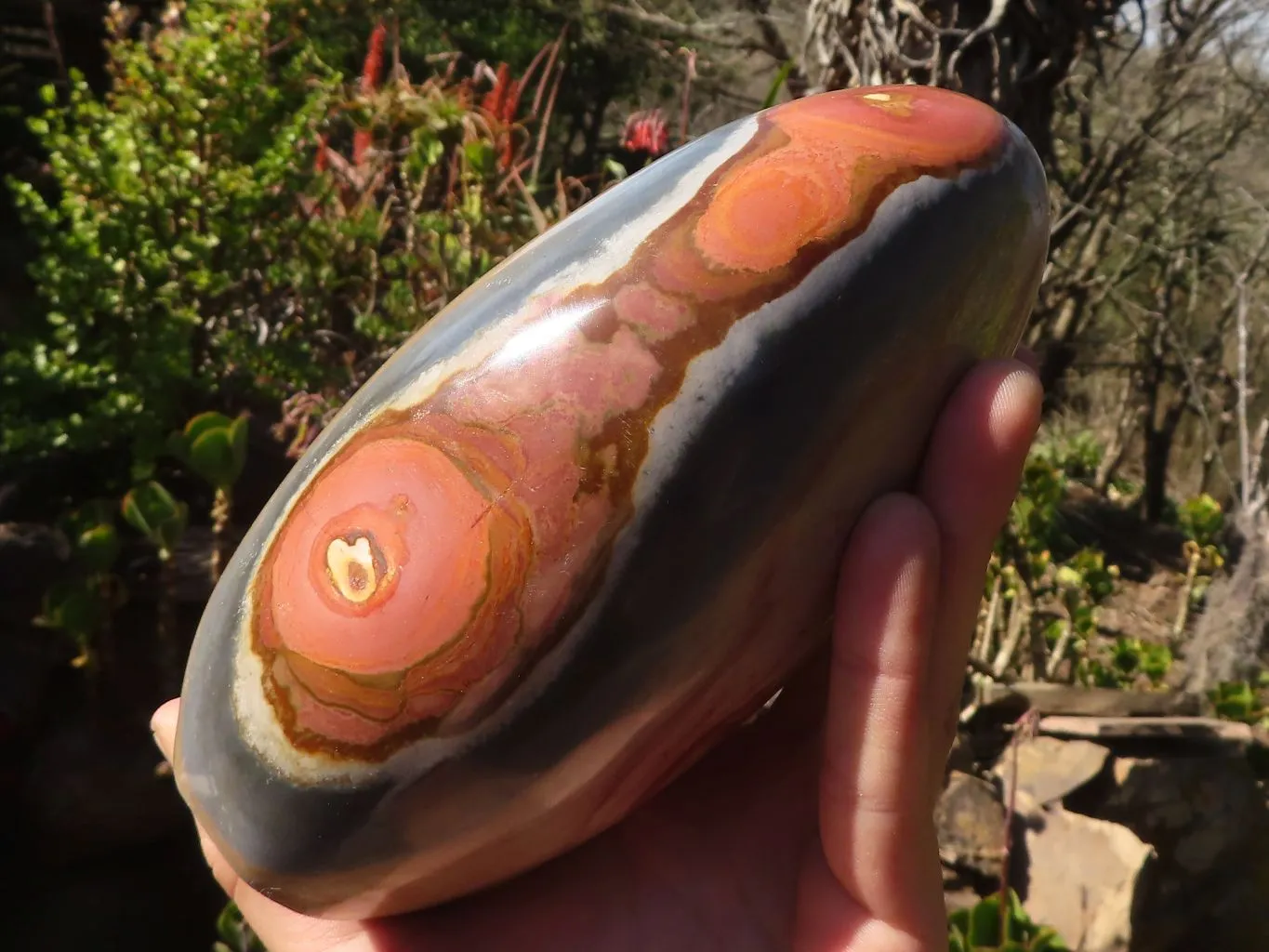 Polished Extra Large Polychrome Jasper Standing Free Form x 1 From Madagascar