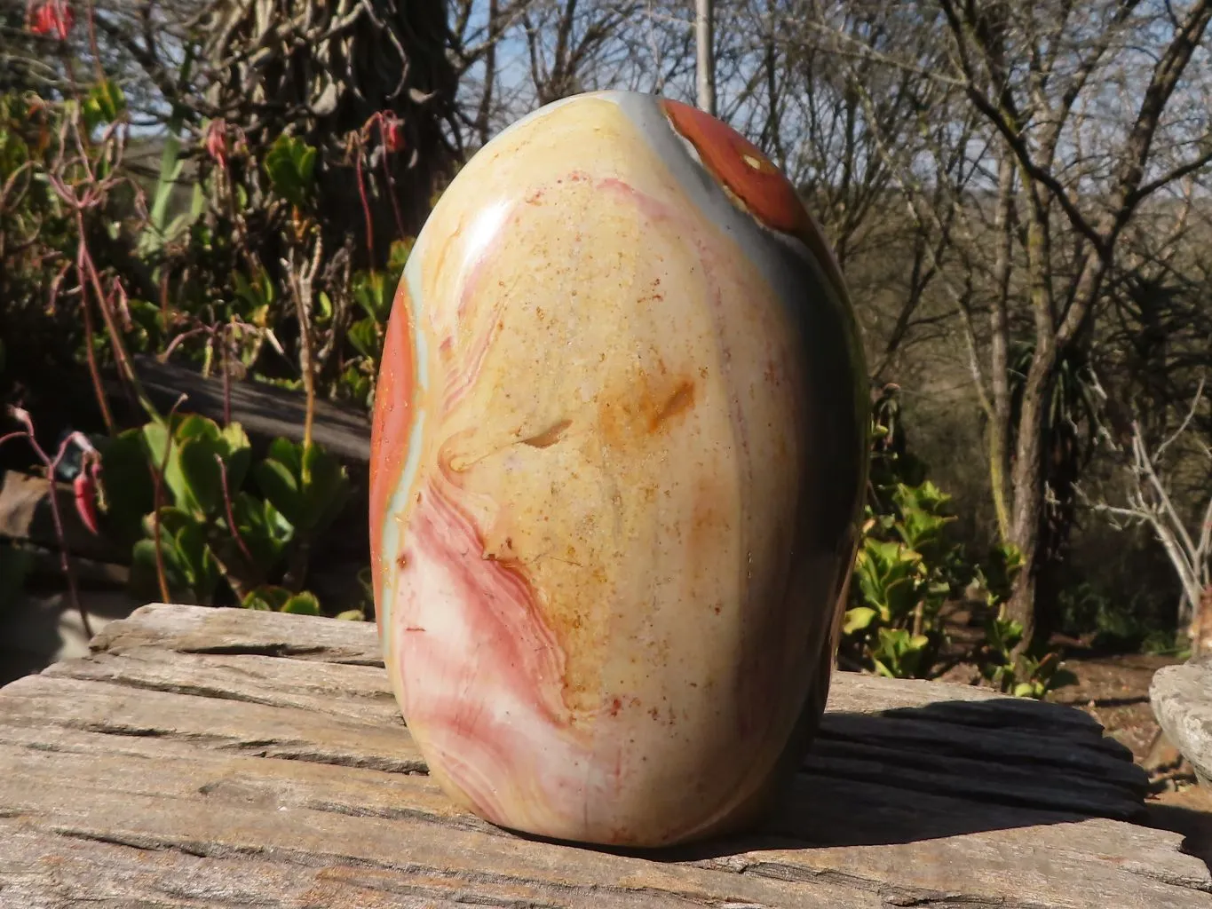 Polished Extra Large Polychrome Jasper Standing Free Form x 1 From Madagascar