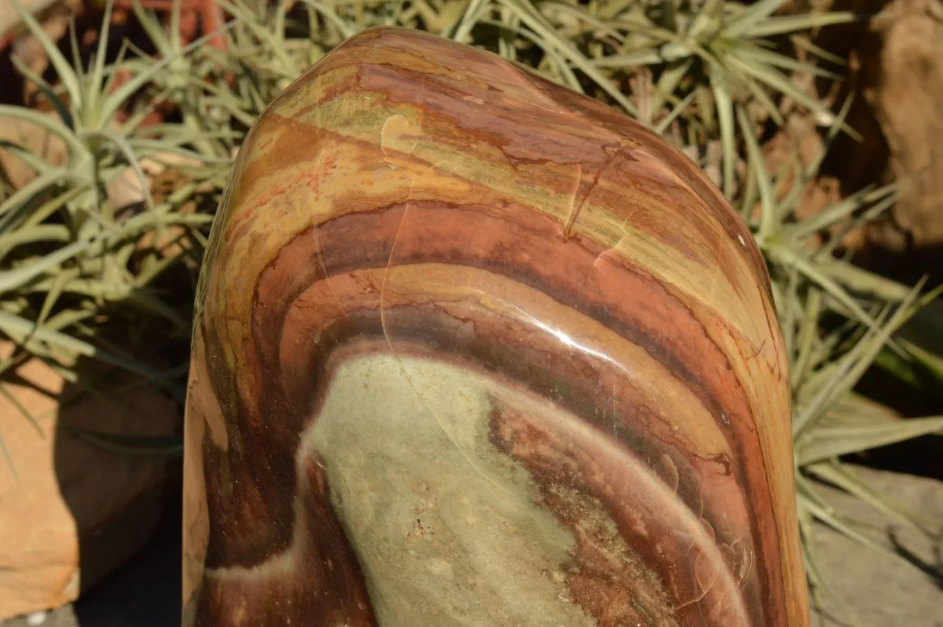 Polished Extra Large Polychrome / Picasso Jasper Standing Free Form  x 1 From Mahajanga, Madagascar