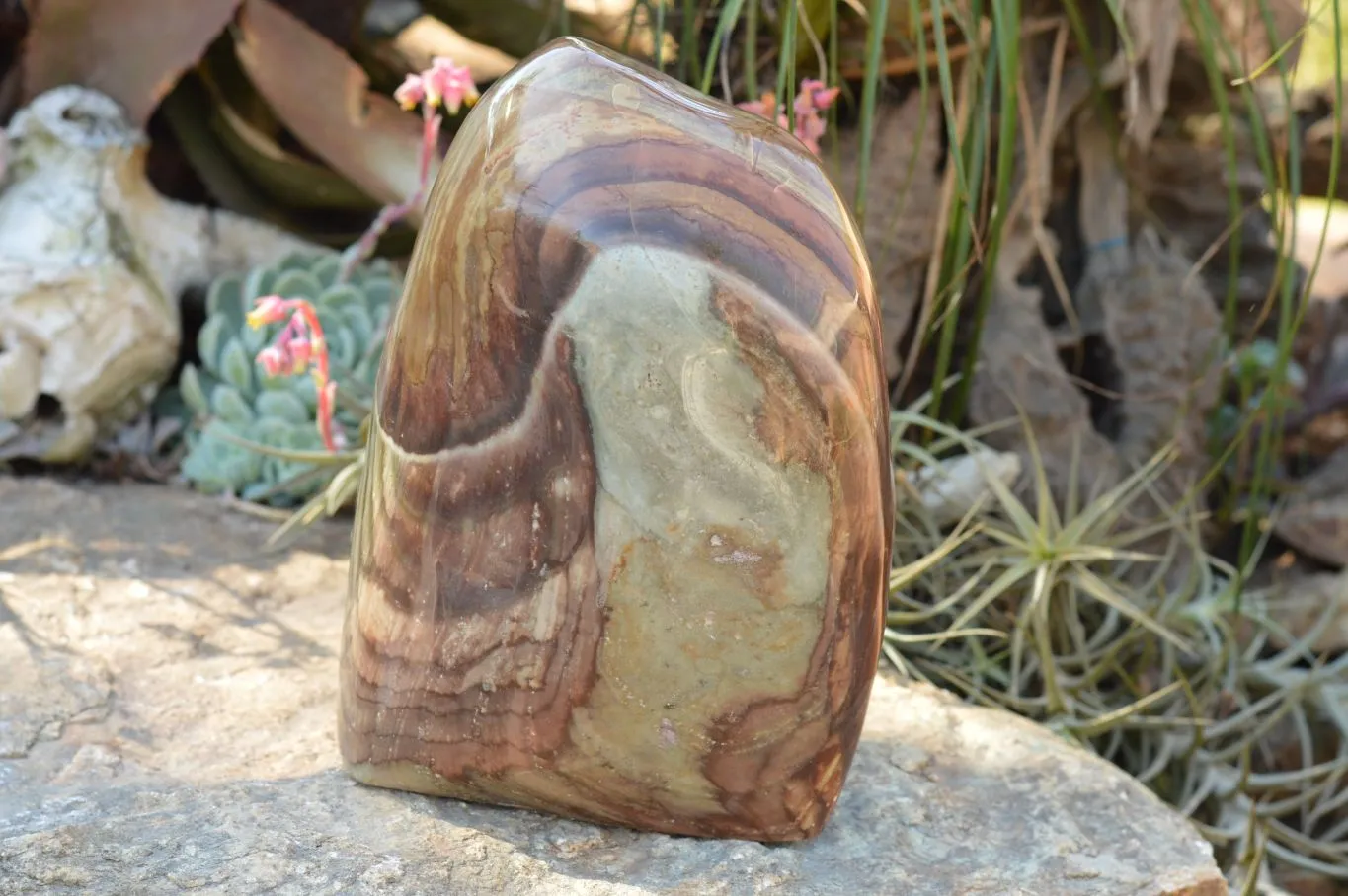 Polished Extra Large Polychrome / Picasso Jasper Standing Free Form  x 1 From Mahajanga, Madagascar