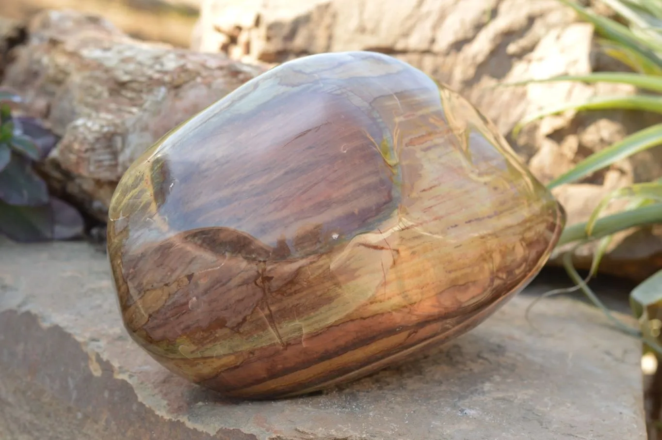 Polished Extra Large Polychrome / Picasso Jasper Standing Free Form  x 1 From Mahajanga, Madagascar