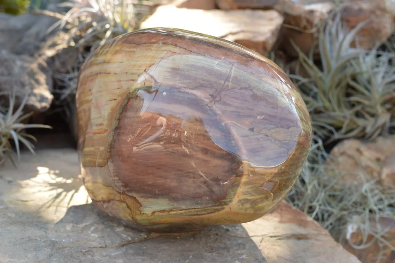 Polished Extra Large Polychrome / Picasso Jasper Standing Free Form  x 1 From Mahajanga, Madagascar