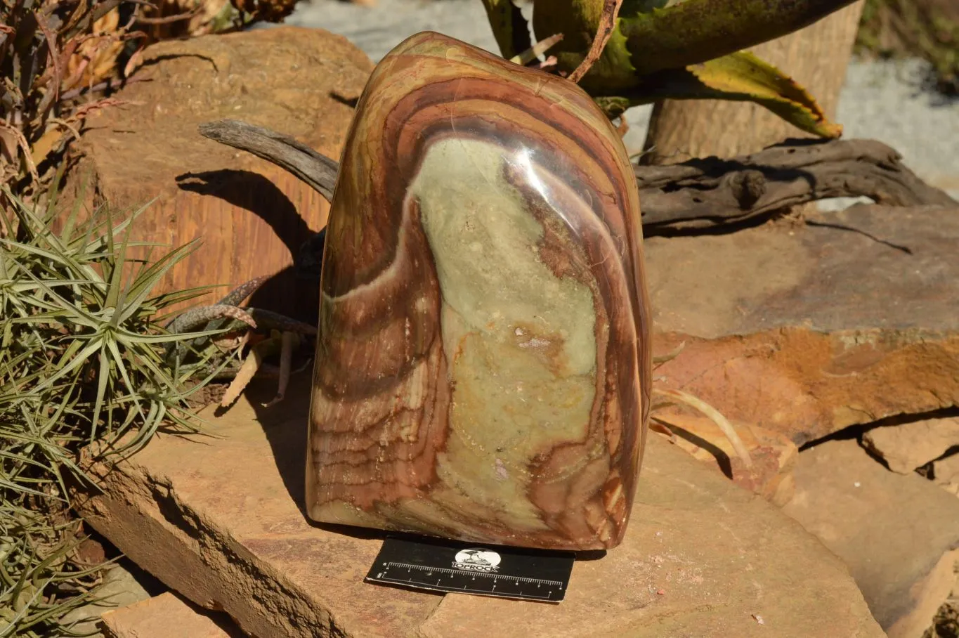 Polished Extra Large Polychrome / Picasso Jasper Standing Free Form  x 1 From Mahajanga, Madagascar