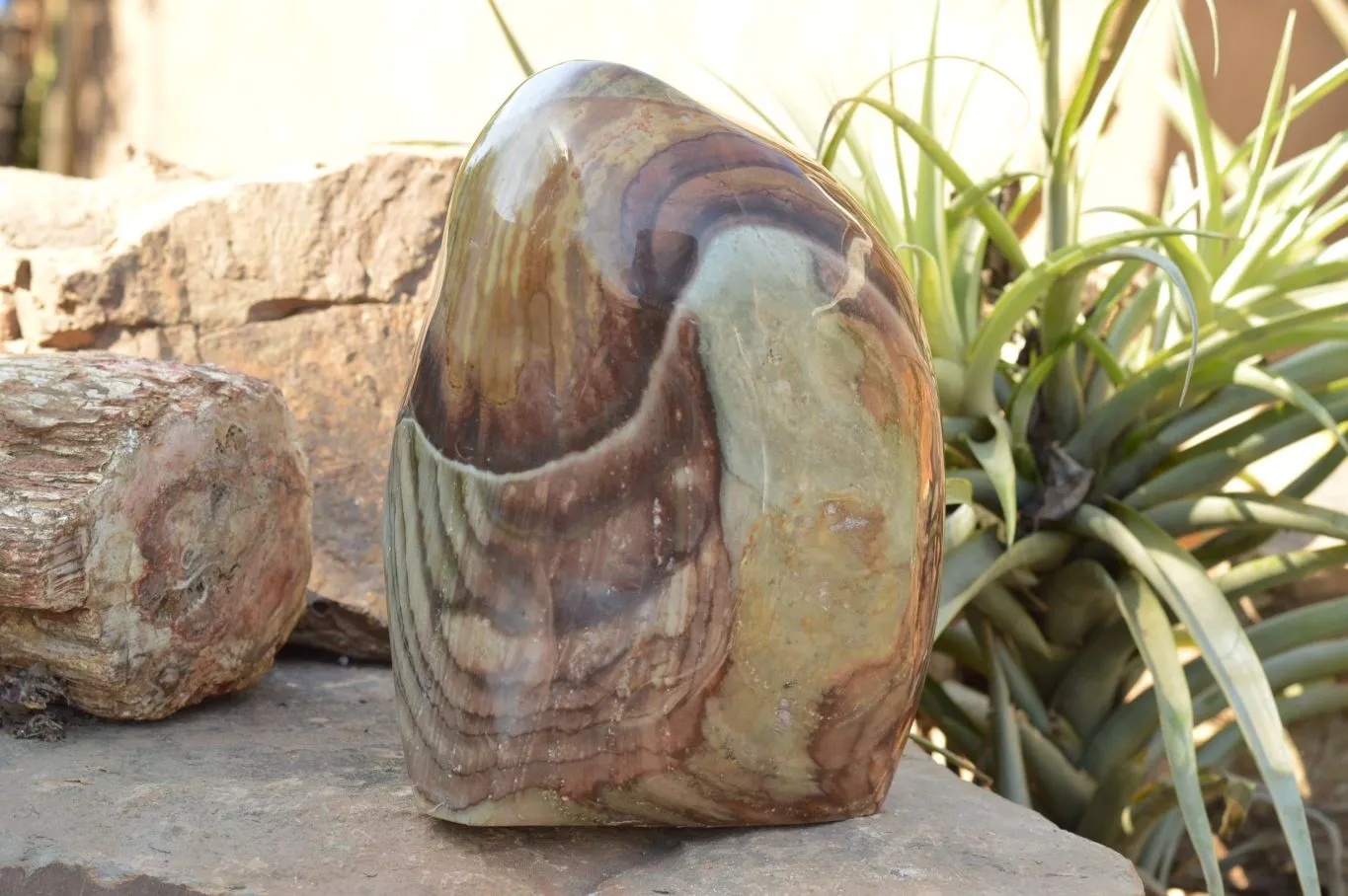 Polished Extra Large Polychrome / Picasso Jasper Standing Free Form  x 1 From Mahajanga, Madagascar