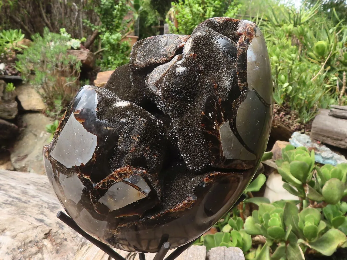 Polished Extra Large Septerye Sauvage "Dragons" Egg With Metal Stand  x 2 From Mahajanga, Madagascar