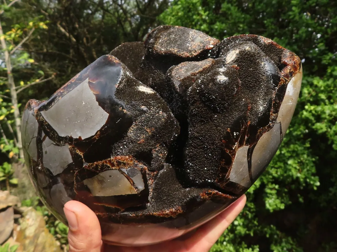 Polished Extra Large Septerye Sauvage "Dragons" Egg With Metal Stand  x 2 From Mahajanga, Madagascar