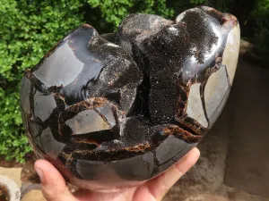 Polished Extra Large Septerye Sauvage "Dragons" Egg With Metal Stand  x 2 From Mahajanga, Madagascar