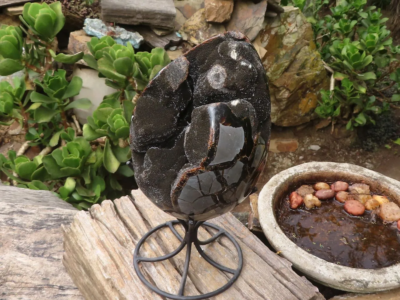 Polished Extra Large Septerye Sauvage "Dragons" Egg With Metal Stand  x 2 From Mahajanga, Madagascar