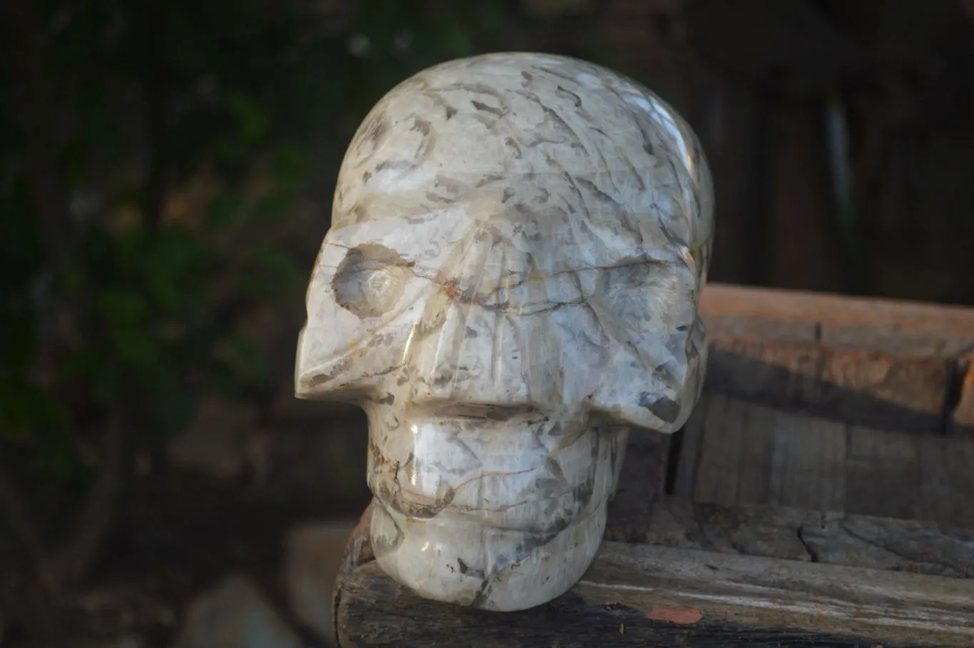 Polished Extra Large Tiger Quartz In Feldspar Skull Carving  x 1 From Madagascar