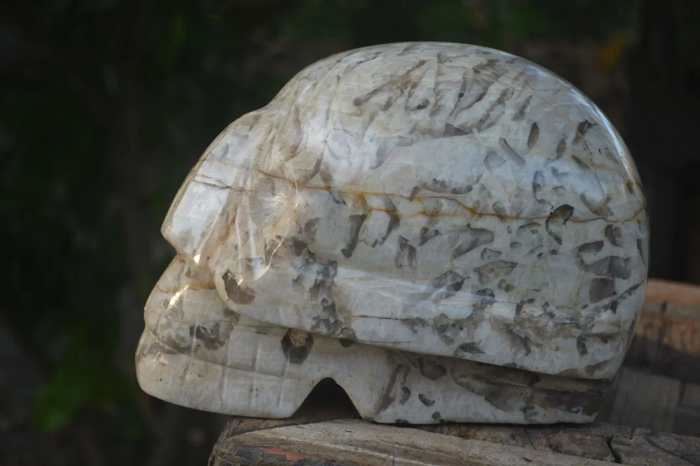 Polished Extra Large Tiger Quartz In Feldspar Skull Carving  x 1 From Madagascar