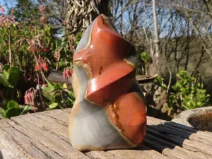 Polished Polychrome / Picasso Jasper Flame  x 1 From Madagascar