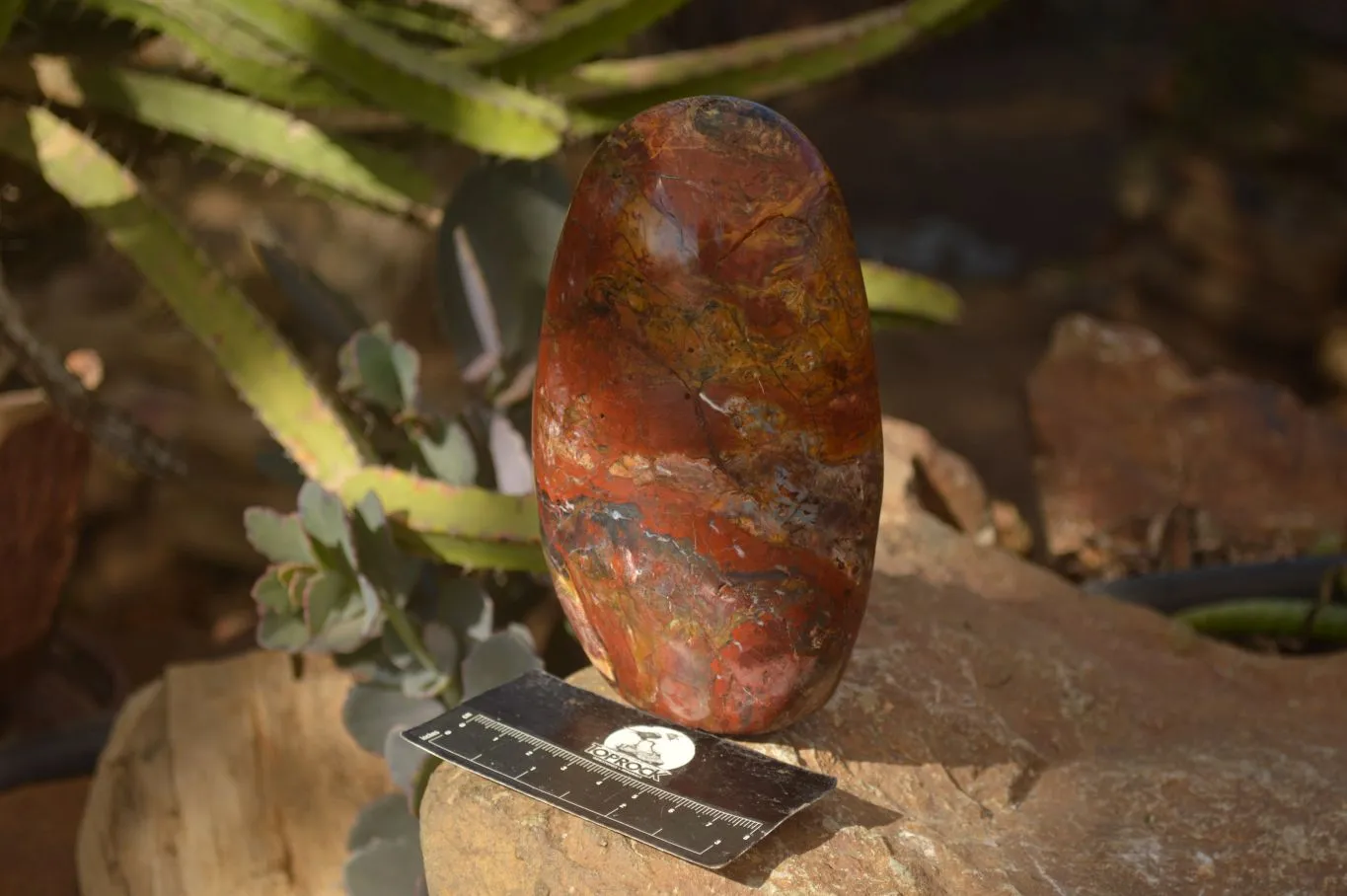 Polished  Red Jasper Standing Free Form  x 1 From Madagascar