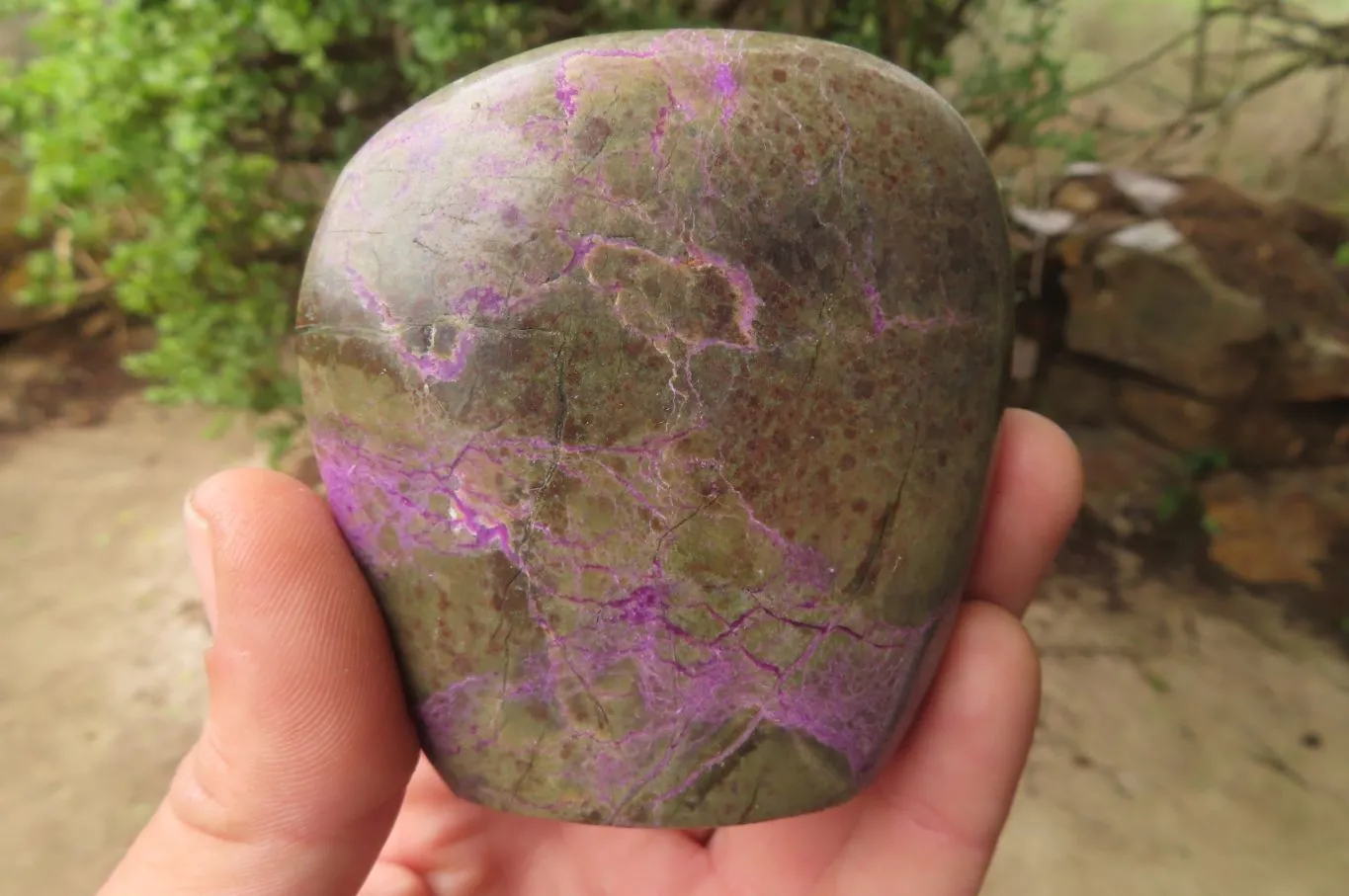 Polished Stichtite Free Forms x 6 From Barberton, South Africa