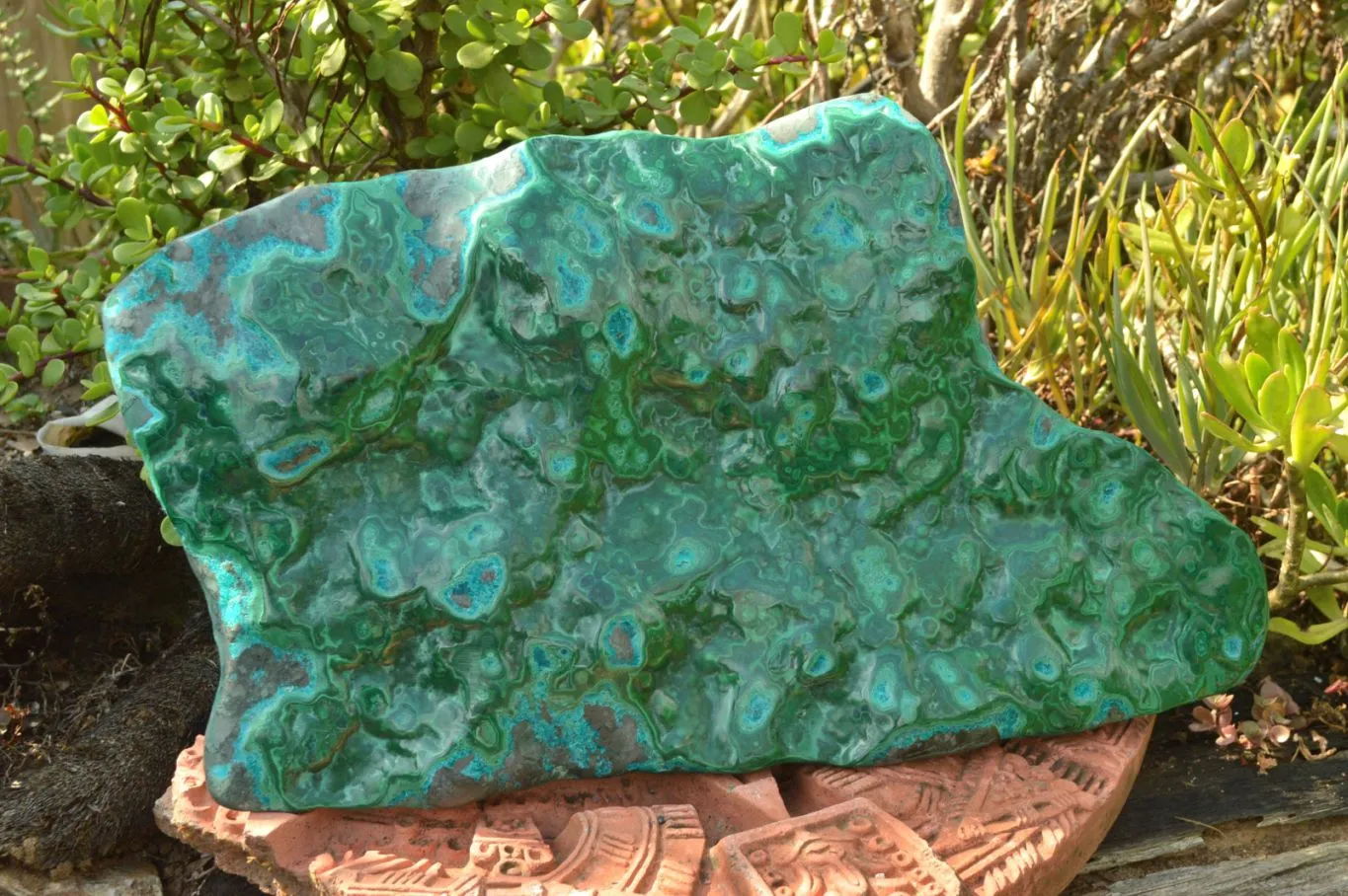 Polished XL Malachite Free Form With Blue Chrysocolla Rings x 1 From Congo