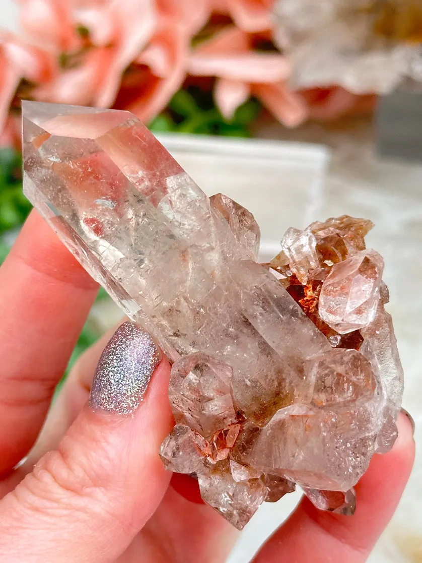 Unique Brazil Quartz Crystals