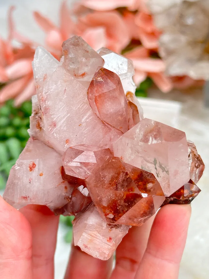 Unique Brazil Quartz Crystals