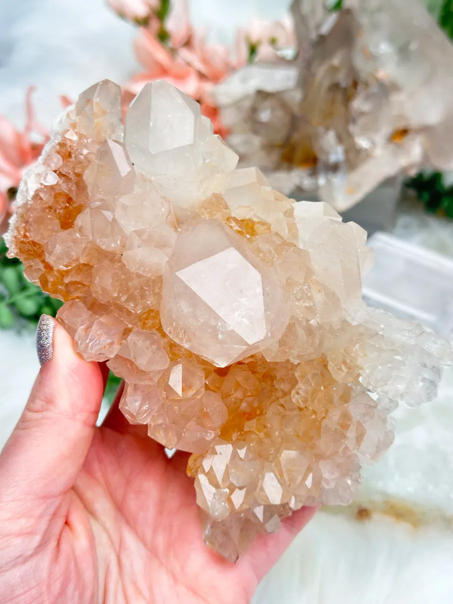 Unique Brazil Quartz Crystals